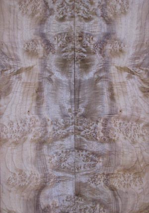 myrtlewood burl 9